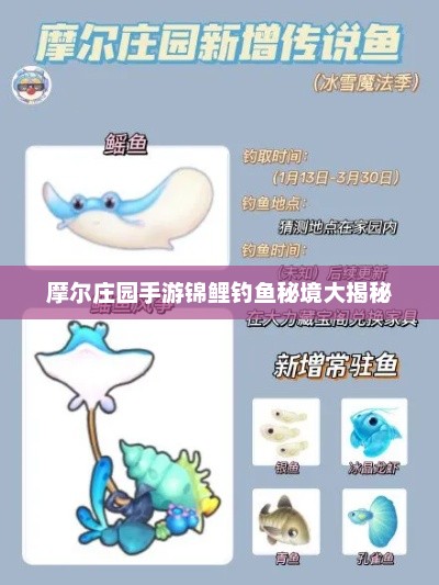 摩尔庄园手游锦鲤钓鱼秘境大揭秘 摩尔庄园手游锦鲤钓鱼秘境大揭秘