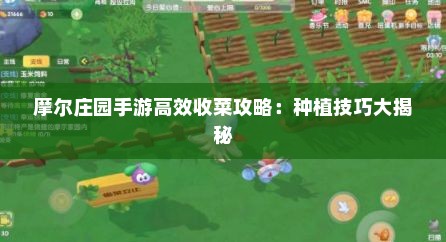 摩尔庄园手游高效收菜攻略：种植技巧大揭秘