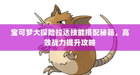 宝可梦大探险拉达技能搭配秘籍，高效战力提升攻略