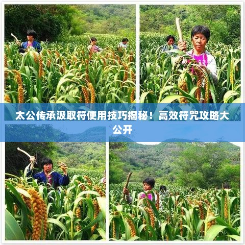 太公传承汲取符使用技巧揭秘！高效符咒攻略大公开