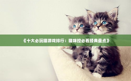 《十大必玩猫游戏排行:猫咪控必看经典盘点》 《十大必玩猫游戏排行:猫咪控必看经典盘点》