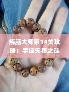烧脑大师第14关攻略:手链失窃之谜破解 烧脑大师第14关攻略:手链失窃之谜破解