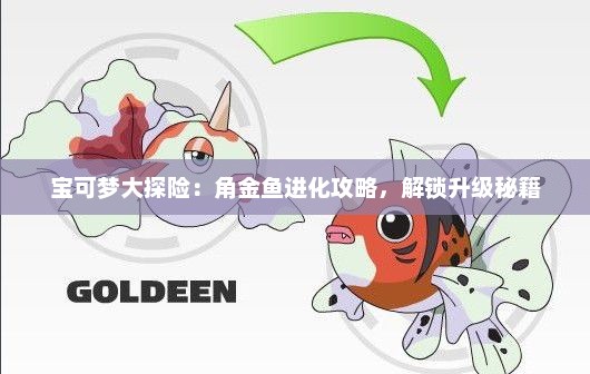 宝可梦大探险：角金鱼进化攻略，解锁升级秘籍
