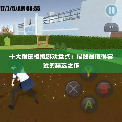 十大耐玩模拟游戏盘点：揭秘最值得尝试的精选之作