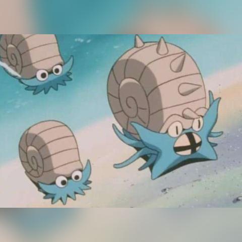 菊石兽技能测评：宝可梦大探险实力解析