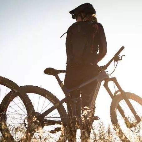 《热门排行！下载量飙升的自行车游戏精选》