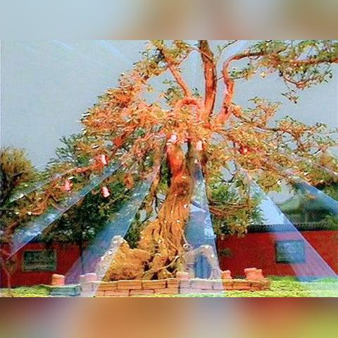 《凡人传说攻略：奇珍会与灵根快速升级秘籍》