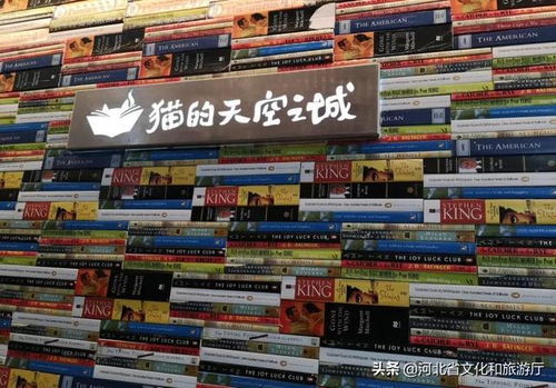 《热门下载！盘点最受欢迎的猫游戏排行榜》