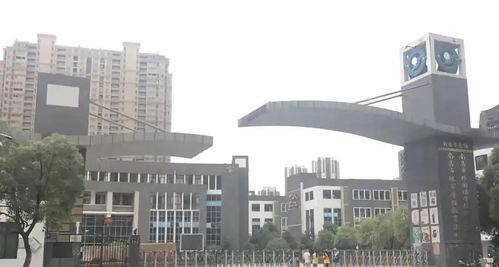 《热门管理游戏盘点：盘点值得一试的管理游戏排行》