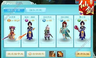 独奏骑士猪杖攻略：高效使用技巧揭秘