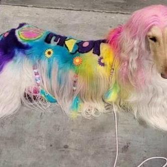 弹射游戏下载排行：热门弹射游戏盘点，速来体验！