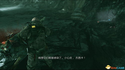 《启示录》怪物训练场攻略：深度解析玩法与优化技巧，助你轻松升级