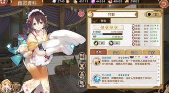 料理次元酱料系统深度揭秘：解锁烹饪新境界