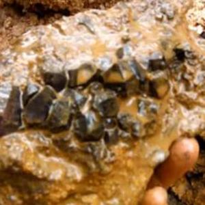 隐藏宝藏大揭秘！盘点最新热门隐藏物体游戏排行