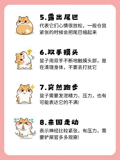 热门旅鼠游戏排行揭秘：解锁最佳游戏体验攻略