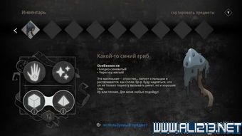 山河旅探第六章谜题破解攻略:高效通关秘籍大揭秘 山河旅探第六章谜题破解攻略:高效通关秘籍大揭秘