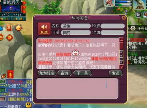 射雕百炼寻隐无定攻略：高效打法揭秘，轻松上分必备技巧