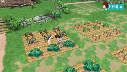 小森生活丰收季活动玩法揭秘：掌握结束时间攻略，轻松丰收！