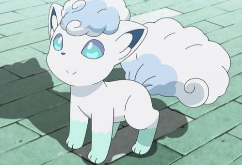 宝可梦大探险：揭秘六尾进化九尾攻略，轻松升级技巧大公开