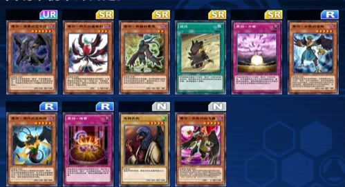 大掌柜罗裁缝角色深度解析：培养潜力大揭秘！