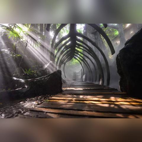 《光遇》集结季树屋首任务攻略：轻松解锁秘境新玩法！