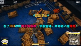 太公霸拳玩法揭秘：传承神技攻略，轻松霸屏技巧大公开