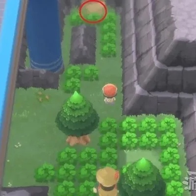 宝可梦探险迷幻森林7-2通关攻略：揭秘高效通关技巧，轻松解锁隐藏秘境