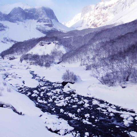 最新科学游戏盘点：探索未知，科技盛宴不容错过