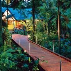 光遇雨林树屋任务攻略：高效集合技巧揭秘，轻松完成挑战！