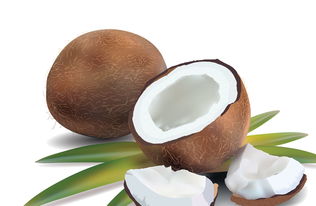 椰子功效揭秘：小森生活水果用途大揭秘，解锁新玩法