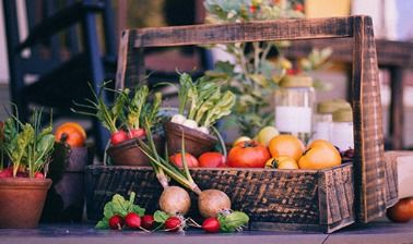 小森生活黄瓜新用法，打造创意美食攻略！