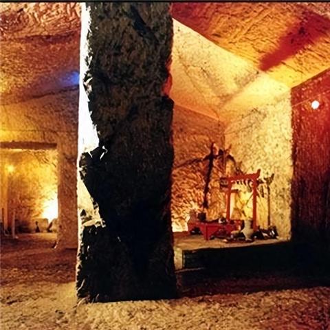 数码宝贝新世纪无限龙兽属性解析+实战技巧攻略全解析 数码宝贝新世纪无限龙兽属性解析+实战技巧攻略全解析