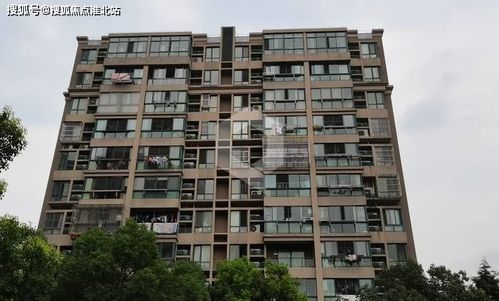 梦想新大陆海螺湾龙蛋获取攻略：揭秘隐藏位置与价值解析