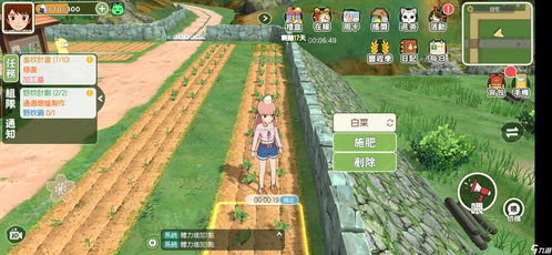 小森生活圆头菜高效获取秘籍，轻松解锁种植技巧