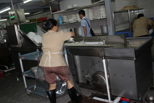 胡桃日记洗碗机任务攻略：高效完成秘籍，轻松解锁新技能