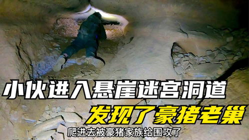 悬崖石门位置速查!全民奇迹2独家坐标攻略揭秘 悬崖石门位置速查!全民奇迹2独家坐标攻略揭秘