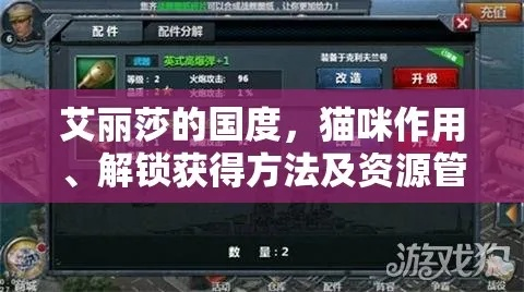 艾丽莎国度攻略：揭秘氪金与时间大法高效技巧
