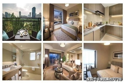 《花亦山心之月》风猫技能深度剖析：揭秘新技能价值点