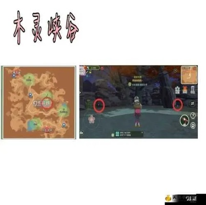 木灵峡谷资源盘点：揭秘小森生活丰富资源分布攻略