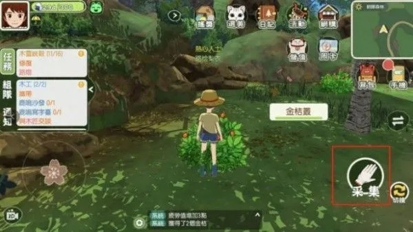 小森生活攻略：龟壳用途详解及高效获取技巧