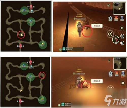 小森生活小绿尾甲虫属性解析，深度攻略助你轻松升级