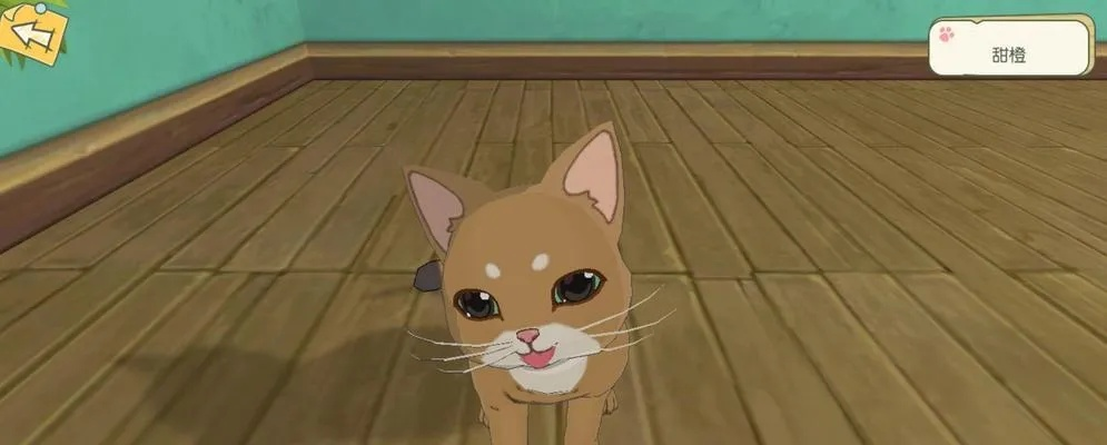 小森生活猫咪品种大盘点:揭秘全系列萌宠种类 小森生活猫咪品种大盘点:揭秘全系列萌宠种类