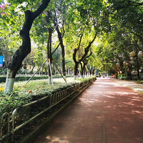 自行车游戏盘点：揭秘最受欢迎的趣味骑行体验