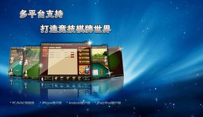 最新牌组攻略必备！精选游戏构建技巧大揭秘