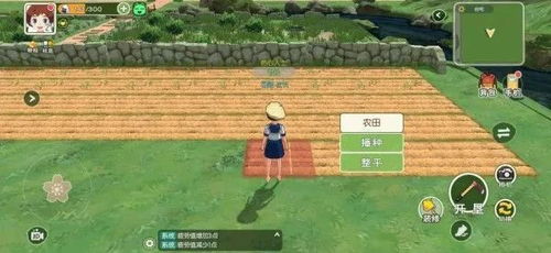 小森生活饲料秘制攻略：高效制作技巧大揭秘