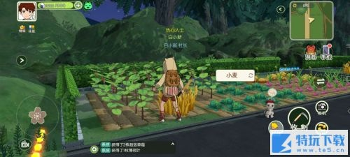 小森生活鱼肉火腿怎么做 食物制作攻略