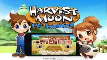 三天畅玩攻略揭秘！小生活-悠闲小镇物语必胜技巧大公开