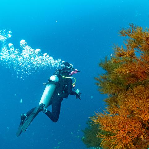 时空穿梭力作，热门下载首选：探索无限时空奥秘
