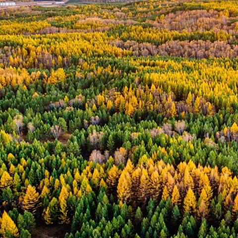 锦绣江湖侠客职业快速升级秘籍，轻松突破进阶瓶颈！