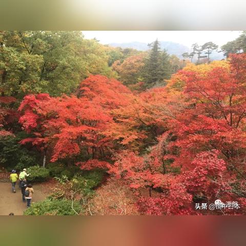 霓虹深渊套装深度揭秘：红叶刀2攻略全解析，独家技巧大放送